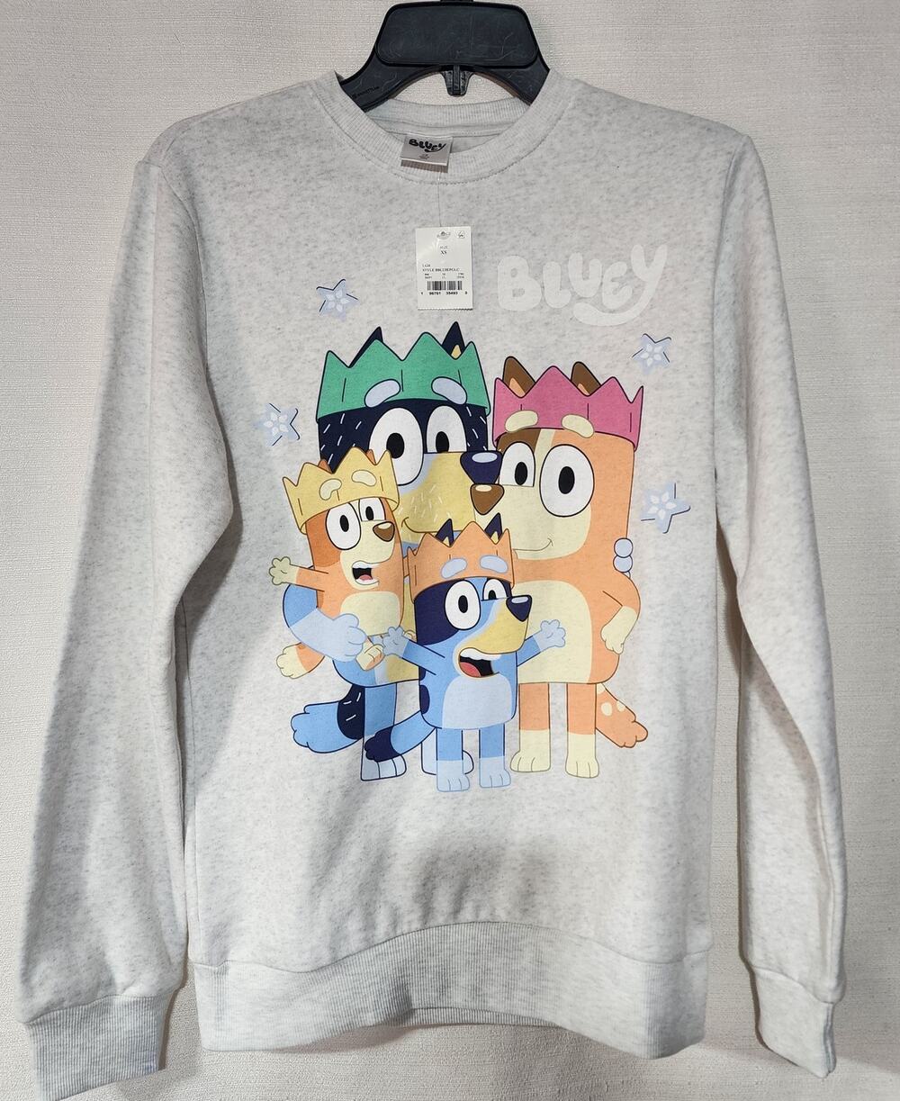 Bluey family gray sweatshirt women's XS
